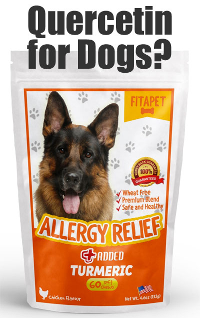 Fitapet Natural Allergy Relief for Dogs with Quercetin, Turmeric, Bromelain