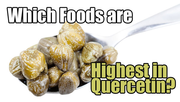 Which Foods are Highest in Quercetin?