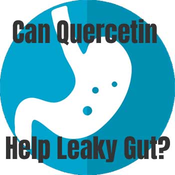 Can Quercetin Help Leaky Gut?